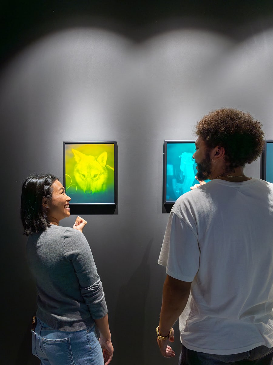 images exhibits gallery3 moi edmonton 1200x900 1